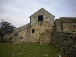 DSCN1818